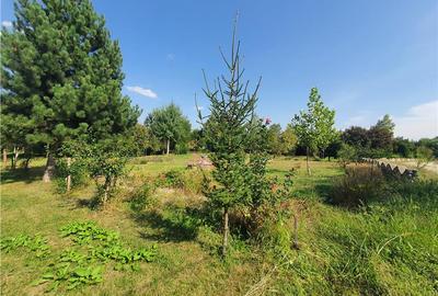 Teren Construcții intravilan de 900 mp, în Săcel - 13