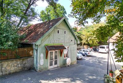 Intravilan,versatil,Central,Sfantu Gheorghe, optim dezvoltar - 2