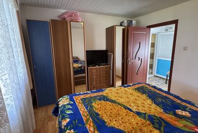 Casă individuală cu 4 camere cu Teren 7204 Mp în Malamuc - 17