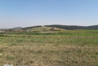 Teren de 5050 mp, în Central - 2