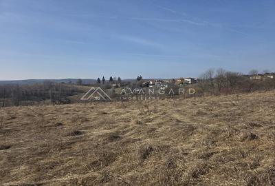 Teren Construcții intravilan de 1437 mp, în Feleacu - 7