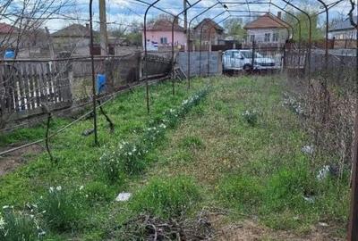 Casă cu 3 camere cu Teren 2504 Mp în Teasc - 2