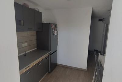 Apartament 2 camere Eremia Grigorescu - 9
