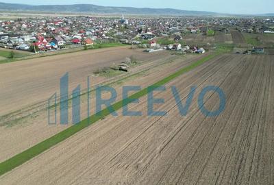 Teren de 10500 mp, în Nicolae Bălcescu - 10