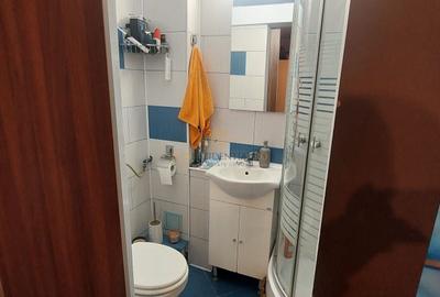 Apartament cu 3 camere semidecomandat, mobilat în Rahova - 10