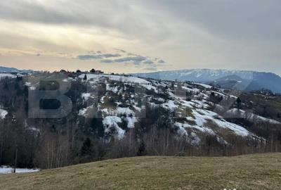 Teren de 7000 mp, în Bran