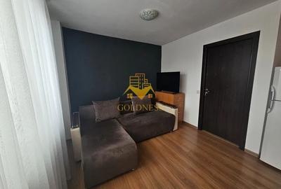 O camera decomandata, Aurel Vlaicu, Marasti, profi, Pet Friendly - 2