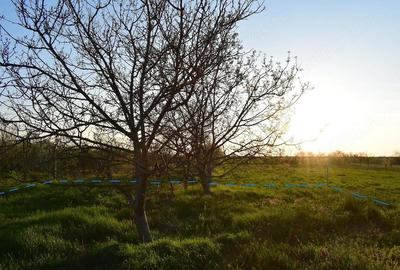 Casă cu 4 camere cu Teren 1000 Mp în Ianova - 1