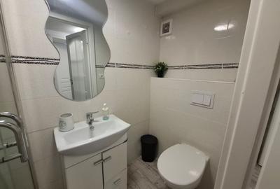 Garsonieră, mobilată în Dudești - 5