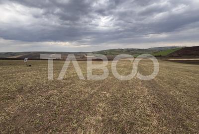 Teren Construcții intravilan de 24000 mp, în Șura Mare - 4