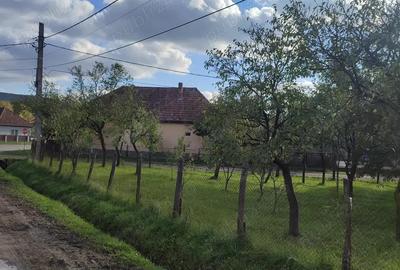 Casa de vanzare in Sabed - 9