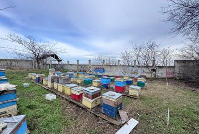 Teren de 470 mp, în Poarta 6 - 6