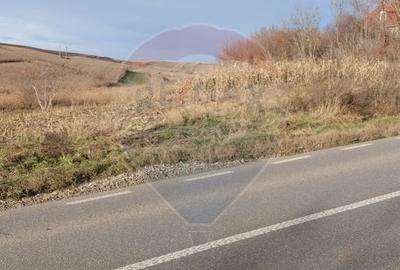 Teren agricol extravilan de 800 mp, în Secuieni - 3