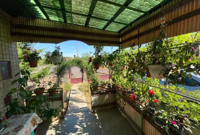 Casă cu 2 camere în Săcășeni - 4