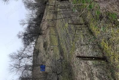 Casă în Central - 3