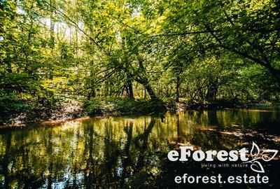 Terenuri premium de vanzare, langa padure, acces asfaltat din DN1A - 6