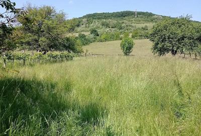 Casă cu 2 camere cu Teren 1600 Mp în Ghindari - 3