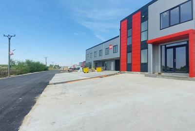 Spațiu comercial, de 650 mp, în Dragomirești-Vale - 6