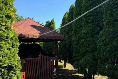 Casa de vanzare 100 m - 10