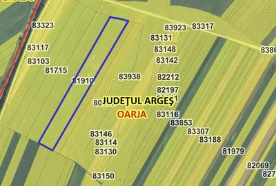 Teren de 81910 mp, în Oarja - 4