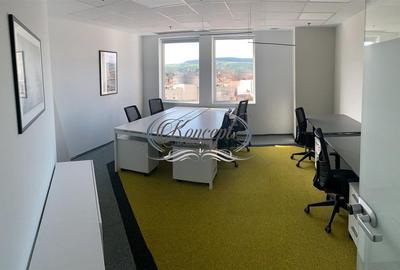 Spatii de birouri la standarde Occidentale - 10