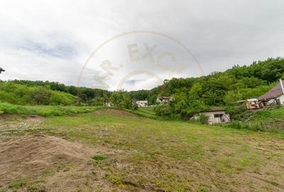 Casa Babana, Arges  - P+1+pod - cu panouri solare - 8