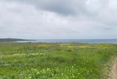 Costinesti teren intravilan 12600 mp distanta de Beach Please 500 m - 4