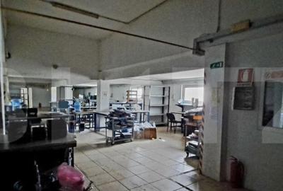 Oportunitate! Teren intravilan 20000 mp si spatiu industrial - 9