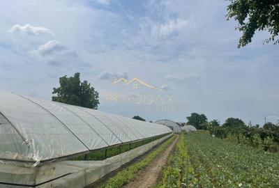 Teren Construcții intravilan de 1439 mp, în Crețești - 5