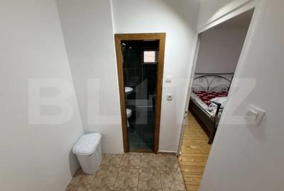 Apartament cu 2 camere decomandat în Cetate - 5