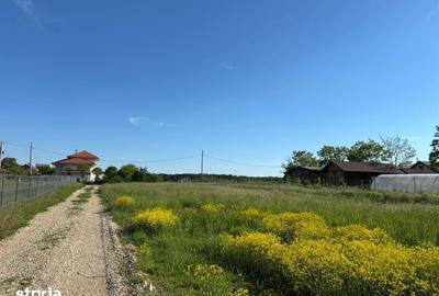 Teren de 979 mp, în Ciolpani - 4