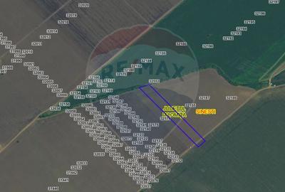 Teren agricol intravilan de 8814 mp, în Sinești - 2