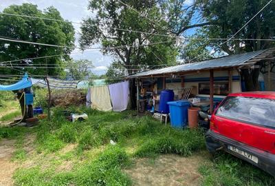 Teren 2133 m? cu utilitati si iesire la drum asfaltat - Clinceni Teren 2133 m? cu utilitati si iesire la drum asfaltat - Clinceni - 10