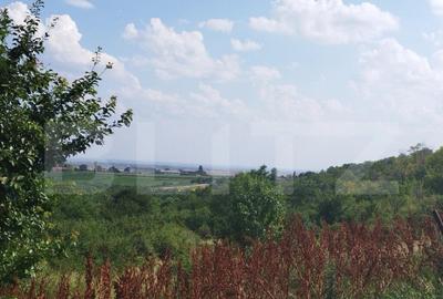 Teren, 3600mp, Drumul Vinului - 1