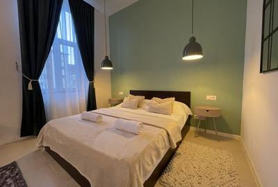 Apartament istoric in Piata Iosefin Amenajat pentru Booking/AirBnb - 8
