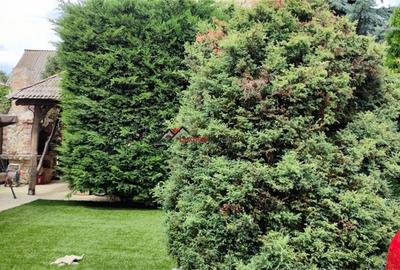 Comision 0%! Casa spatioasa mobilata si utilata in Floresti, curte generoasa ame Comision 0%! Casa spatioasa mobilata si utilata in Floresti, curte generoasa ame - 3