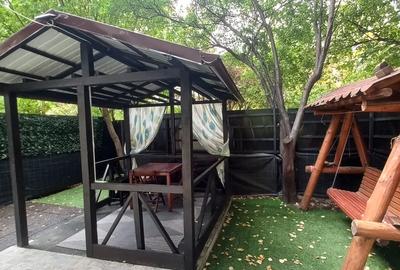 Piata Muncii Victor Babes - 1