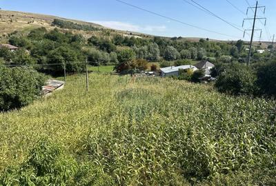 Casa spatioasa in Ciritei, gata de mutat - 22