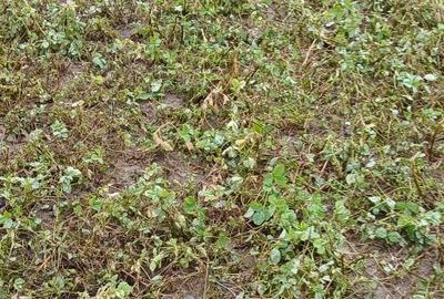 Spațiu comercial, în 1 Decembrie - 3