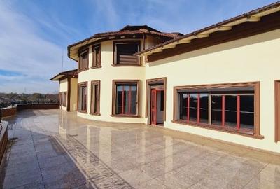 VANZARE VILA + TEREN + HALA IN VLADICEASCA (SNAGOV) - 3