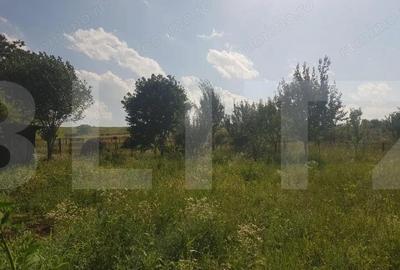 Teren intravilan Campenesti, 11600 mp, 43 ml front, pentru ansamblu de case! - 3