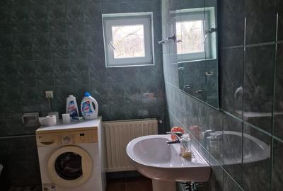 Vila P+E si teren intravilan 1,5Ha,cu zavoi+iaz,lac peste si livada-investitie - 8