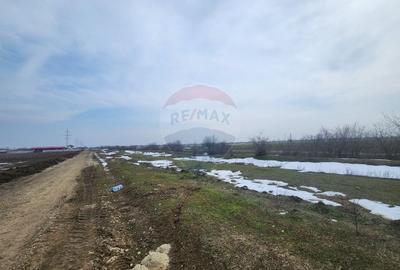 Teren Construcții intravilan de 34260 mp, în Dârvari - 6