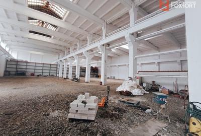 Spațiu industrial, de 2,200 mp, în Șagului - 6