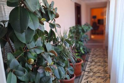 Casă cu 4 camere în Smârdan - 5