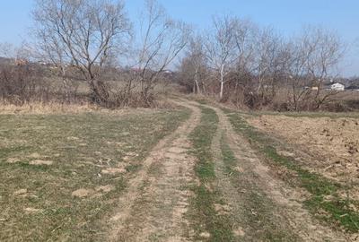 Teren de 2900 mp, în Remetea Chioarului - 3