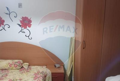 OCAZIE!!! CASA SUPERBA cu teren in JULITA jud Arad in M tii Zarandului - 16