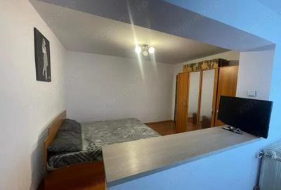Apartament cu 2 camere decomandat în Valea Rosie - 8