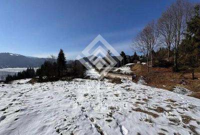 Teren de 2623 mp, în Colibița - 2