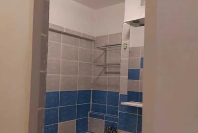 Garsonieră decomandată în Brâncoveanu - 6